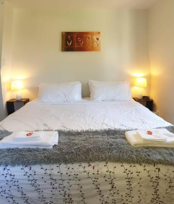 Central Cozy House - 10 Min Walk To Town Κουίνσταουν Εξωτερικό φωτογραφία